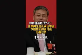 郭树清谈炒作外汇：正像押注房价永远不会下跌的人终会付出沉重代价视频封面