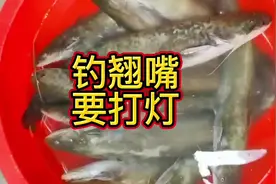 钓翘嘴到底要不要打灯？#2022dou来钓鱼 #钓翘嘴技巧 #钓鱼技巧视频封面