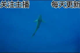 想让自己变得更厉害一定要做到这几点#人生感悟 #读书 #读书视频封面