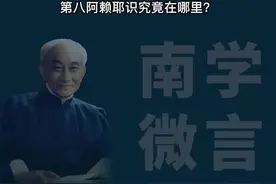 阿赖耶识究竟在哪里？南怀瑾讲瑜伽师地论阿赖耶识。#南怀瑾 #国学智慧 #传统文化 #阿赖耶识 #瑜伽师地论 #修行之路 @DOU+小助手视频封面