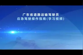 平安春运：道路运输驾驶员应急驾驶操作指南车辆自燃篇视频封面