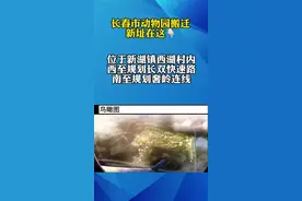 长春市动物园搬迁，新址在这！视频封面