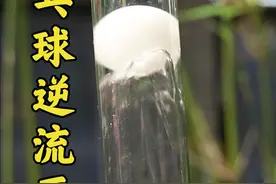 乒乓球会自动往上走？这是什么原理 #涨知识 #测评 视频封面