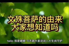 八大生肖守护之文殊菩萨，你知道他的由来吗#每天跟我涨知识视频封面