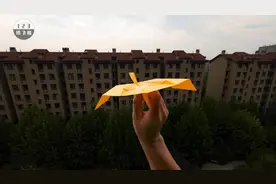 另类扑翼！不一样的扑翼仿真纸飞机鲸头鹳视频封面