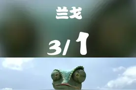 老鹰在天上盘旋，变色龙学蛤蟆伪装自己，但脸上的颜色却出卖了它