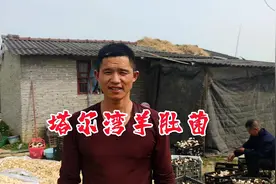 湖北随州，万店塔尔湾，种出了羊肚菌#随州方言 @DOU+小助手视频封面