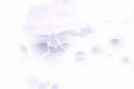 衡水模式践行者—光大衡高部，半年要口碑，三年出清北视频封面
