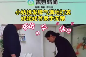保定一6岁小姑娘发脾气满地打滚，姥姥姥爷束手无策，姐姐出来后“秒怂” #姥姥 #姥爷 @素素姐视频封面