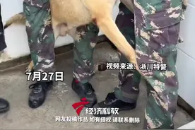#原来警犬也怕打针 “硬汉”遇上打针秒变“怂娃”！网友：捂着嘴巴是防止它骂人吗#萌宠#警犬#中原警察故事