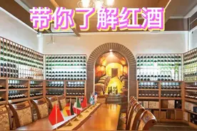 今日分享   智利🇨🇱科金博红酒产区    饱满的酒体口感丰富视频封面