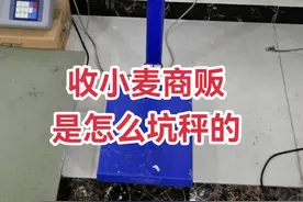 #收小麦 #地磅防遥控 #电子秤  直播介绍如何防范骗秤套路。视频封面