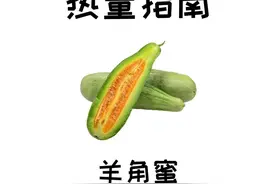 清爽清甜的羊角瓜，热量和含糖不高，可以适量吃哦#控糖 #羊角蜜甜瓜 #减肥 #热量指南 视频封面
