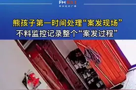 熊孩子打碎电视屏幕后果断处理“案发现场”视频封面