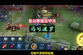 寒霜冰甲流马可波罗出装铭文来了，赢了记得报我的名字。视频封面