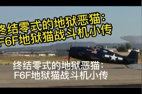 终结零式的地狱恶猫：F6F地狱猫小传#历史 #二战 #飞机视频封面
