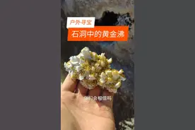 #挖宝石#挖水晶#户外#寻宝#探宝#捡石头#矿物标本#矿物晶体#能量水晶视频封面