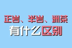 武夷岩茶为什么正岩茶品质好，正岩、半岩、洲茶的区别是什么？@抖音短视频 #武夷岩茶视频封面