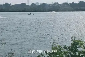 广东草鱼行情低谷，这个老板还超高密度养草鱼是否会有出路呢视频封面