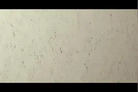 悬壶济世的朱南山老先生曾在四甲合兴村扎根，南山诊所的由来