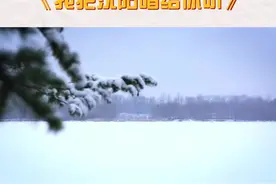 沧海横流方显英雄本色——沈阳人民抗击特大暴雪MV《我把沈阳唱给你听》视频封面
