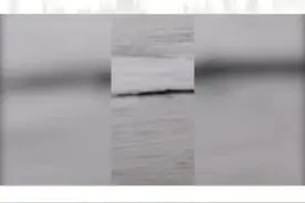 破案了！网传的“三峡水怪”真相曝光，系类似帆布的黑色物体...#dou是知识点视频封面