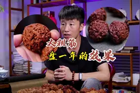 大粗筋狮子头盘玩一年的效果，太漂亮了#文玩核桃 #文玩人视频封面
