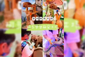 深圳遛娃|荷兰花卉小镇里还藏着一个撸宠乐园-阿多罗堡萌宠工场视频封面