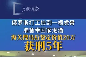 明知虎骨属于国家禁止出口的珍贵动物制品仍非法携带入境，其行为已构成走私珍贵动物制品罪视频封面