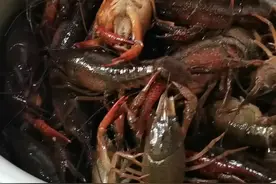 今天教大家一道菜-高压锅炖小龙虾。#龙虾🦞 #美食 #家常菜 