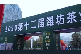#茶#黄茶   君子之品  踏雪兰妃视频封面