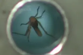 强磁场对人体有伤害吗？视频封面