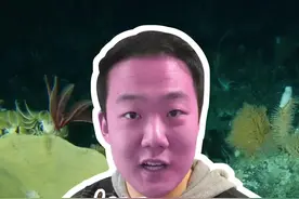 剧毒石头鱼！千万小心它背上的刺！处理篇#石头鱼 #剧毒 #抖音美食创作人