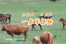 锡林郭勒大草原自驾路线分享，打开驰骋草原的正确方式视频封面