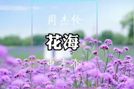 花海 日语版 周杰伦＆中孝介#音乐 #疫情下的生活视频封面