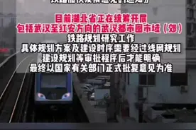 武汉至红安方向的市域（郊）铁路规划研究工作正在统筹开展。视频封面