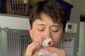 上才艺！迷你猫猫笛 #宠物竖笛 #布偶猫 #小奶猫 #萌宠出道计划