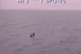 海军救人！视频封面