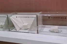 想看看馒头上长的绿霉显微镜下是什么样吗视频封面