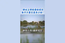 耕地占用税是什么？#农业#耕地 #耕地占用税视频封面