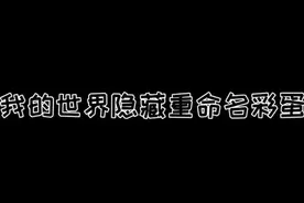 我设置了权限只有18岁以上才能评论#我的世界 #我的世界直播 @蛋糕的朋友圈 @DOU+小助手视频封面