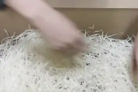 抖音热议的拉菲草后续来了，来看看怎么回事吧...视频封面
