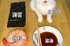 不听话的小猫咪不要扔，做成寿司，隔壁的小孩都馋哭了#在家爱宠日记视频封面