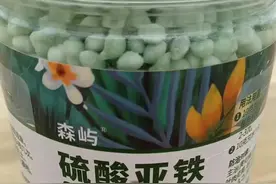 黄叶病首选！尤其是北方的兰友要注意了！#抖音助农 #兰花 #三农 #新农人计划2022 #来抖音学农技 @添雨兰苑 @抖音短视频 @DOU+小助手 视频封面