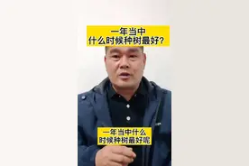 一年当中什么时候种树最好？主要还是看气候，南方秋冬季节种树最好，北方春季种树最好，夏天最好不要种树。#园林景观设计 #园林景观工程 #庭院施工 #建筑图纸 #施工员 视频封面