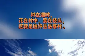 #乡村振兴dou行动 #乡村游 #人居环境 村在湖畔，花在村中，果在枝头，这就是通许县岳寨村。 乡村振兴里的岳寨本身就是一幅画， 菊染岳家湖，果香韵岳寨，这里有您最美的乡愁……@抖音短视频 @DOU+小助手 视频封面
