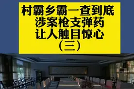 村霸乡霸一查到底 涉案枪支弹药让人触目惊心
