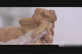 传承德州美味，崔记扒鸡 #非遗美食 #健康食材 #烧鸡 #鸡 #鸡肉视频封面