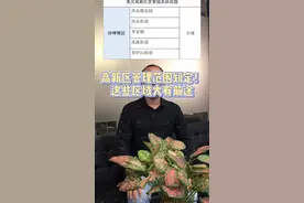 高新区管理范围划定！这些区域大有前途？视频封面