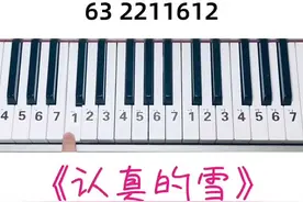 你学会了吗#钢琴简谱 #幼师 #认真的雪#薛之谦@抖音短视频 @DOU+小助手视频封面